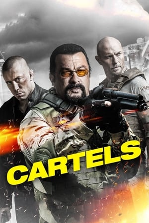 Cartels 2017 Hindi Dual Audio 480p BluRay 300MB - Movierulz