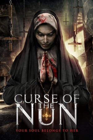 Curse of the Nun (2019) Hindi Dual Audio 480p BluRay 260MB - Movierulz