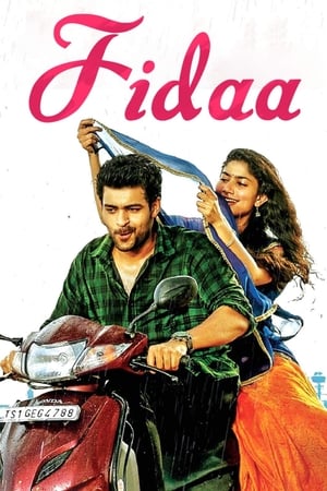 Fidaa 2017 [Hindi - Telugu] Dual Audio 480p Uncut HDRip 450MB - Movierulz