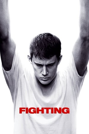 Fighting (2009) Hindi Dual Audio 480p BluRay 450MB - Movierulz