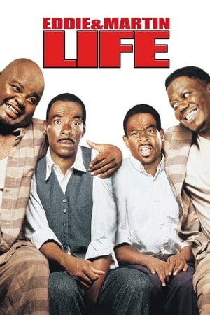 Life (1999) Hindi Dual Audio 480p BluRay 350MB - Movierulz
