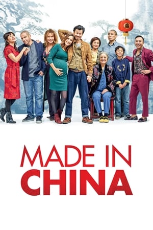 Made in China (2019) Hindi Movie 480p HDRip - [340MB] - Movierulz