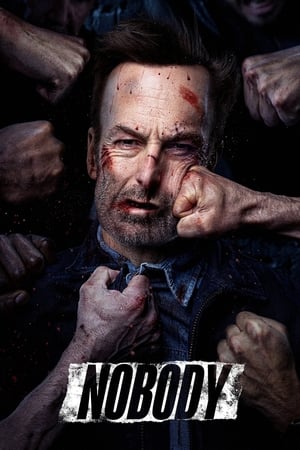 Nobody (2021) Hindi (Cleaned) Dual Audio 480p Web-DL 320MB - Movierulz