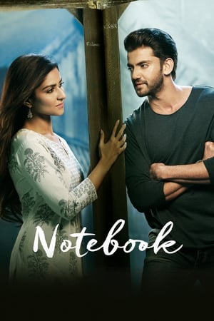 Notebook (2019) Hindi Movie Pre-DVDRip x264 [700MB] - Movierulz