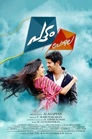 Pattam Pole (2013) (Hindi – Malayalam) Dual Audio 480p UnCut HDRip 400MB - Movierulz