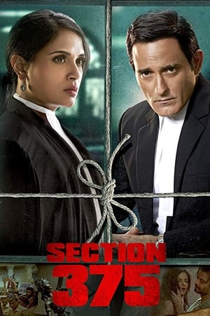 Section 375 (2019) Hindi Movie 720p HDRip x264 [980MB] - Movierulz