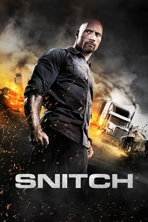 Snitch (2013) Hindi Dual Audio 720p BluRay [930MB] - Movierulz