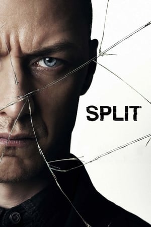 Split (2016) Movie HC HDRip 720p [900MB] Download - Movierulz