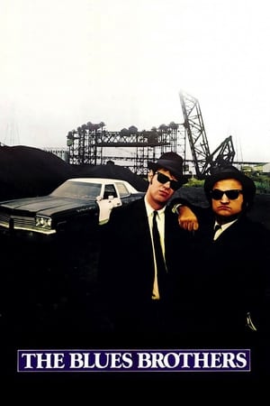 The Blues Brothers (1980) Hindi Dual Audio 720p BluRay [1.3GB] ESubs - Movierulz