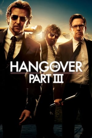 The Hangover Part III (2013) Hindi Dual Audio 480p BluRay 300MB - Movierulz