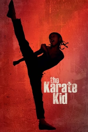The Karate Kid 2010 Hindi Dubbed 300MB 480p Full Movie - Movierulz