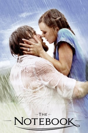 The Notebook 2004 Dual Audio Hindi 480p BRRip 400MB - Movierulz